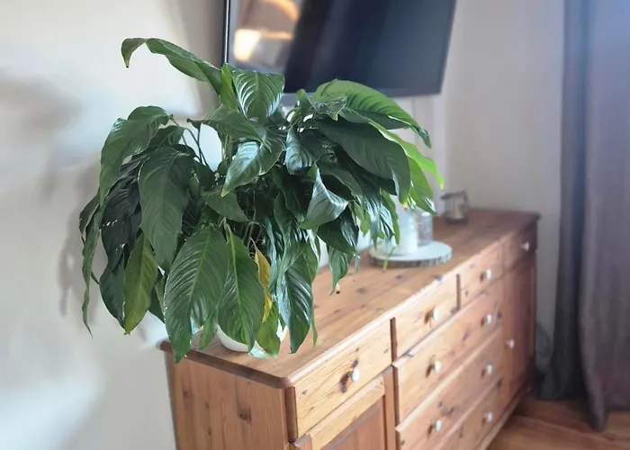 Apartment Nordlandquartier *